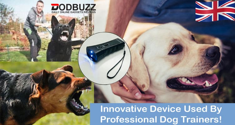 Petgentle Reviews 2020, Cost ⇒ Does Pet Trainer Device Work?
