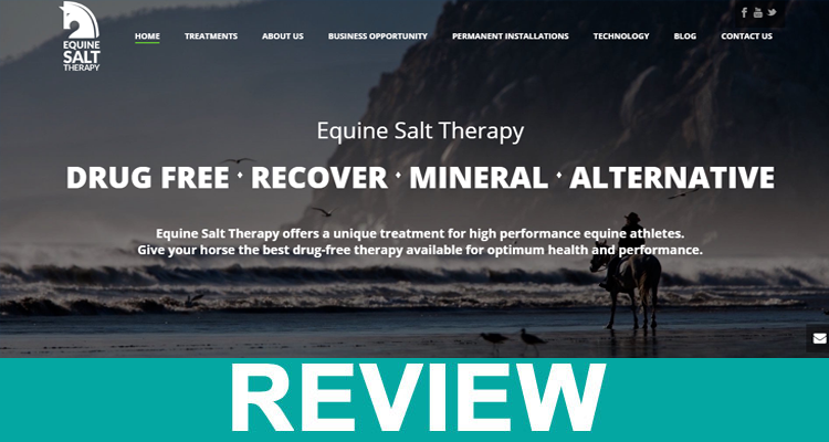 Equine Salt Therapy Reviews