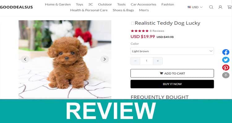 Realistic-Teddy-Dog-Lucky-R