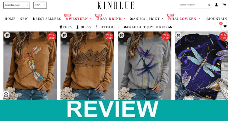 Kindlue-Review