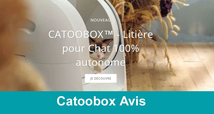 Catoobox Avis 2020