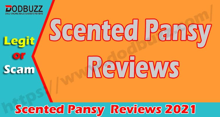Scented Pansy Reviews (Nov) Is This Genuine Or Scam
