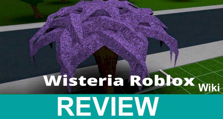 Gaming Tips Wisteria Roblox Wiki