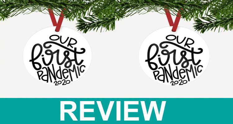 Our First Pandemic Ornament Reviews [Dec] Read Before Buy