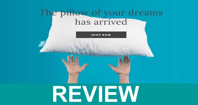 One Fresh Pillow Reviews 2021.