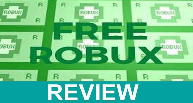 Robex.ML Review