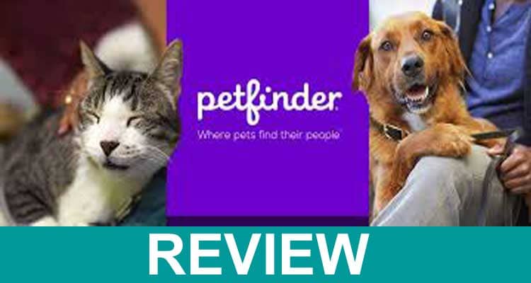 Is Petfinder Down (Feb 2021) – Click Here To Know!