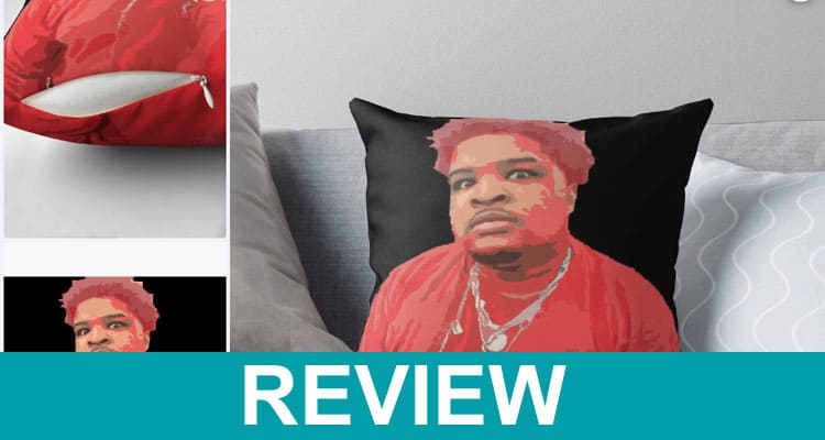 Mario Judah Pillow Reviews 2021