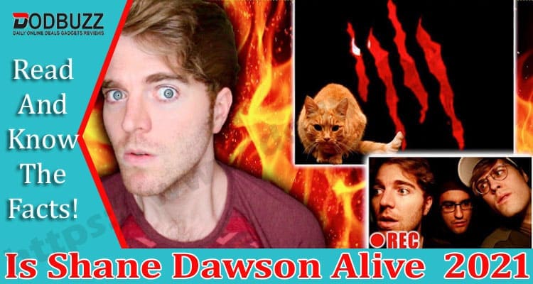 Is Shane Dawson Alive Dodbuzz.com