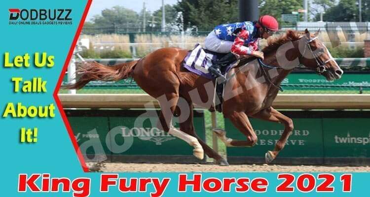 King Fury Horse {April} Contender For Kentucky Derby!