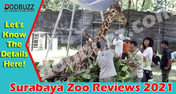 Surabaya Zoo Reviews {April} Know The Latest Update!