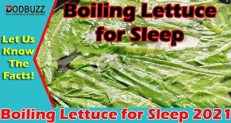 Boiling Lettuce for Sleep {May} Take A Better Sleep!