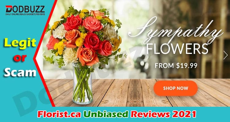 Florist.ca Reviews 2021