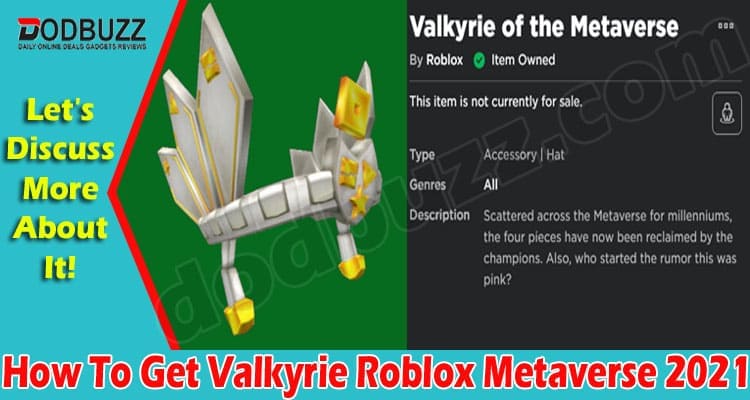 How To Get Valkyrie Roblox Metaverse May Read It - roblox launcher portable