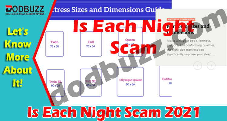 Is Each Night Scam (May) Curious To Know, Go Ahead!