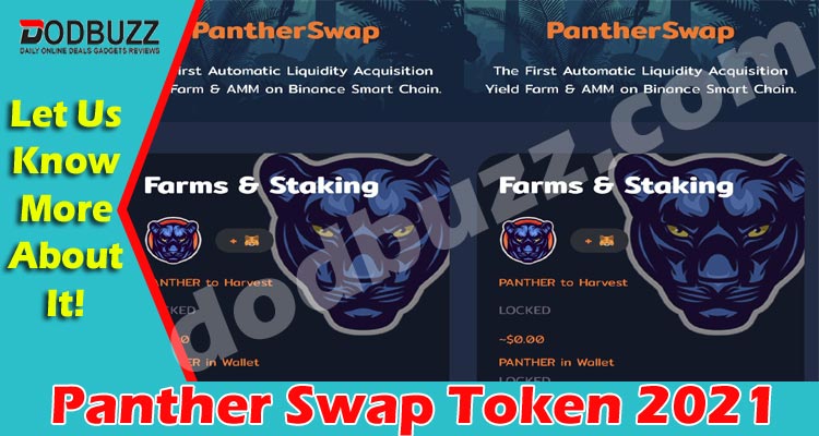 Panther Swap Token {May} Get All The Details Here!