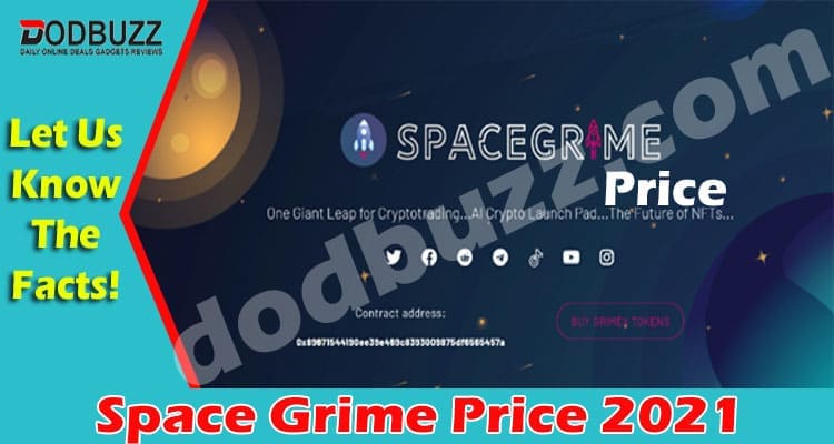 Space Grime Price 2021
