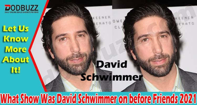 What Show Was David Schwimmer on before Friends {May}