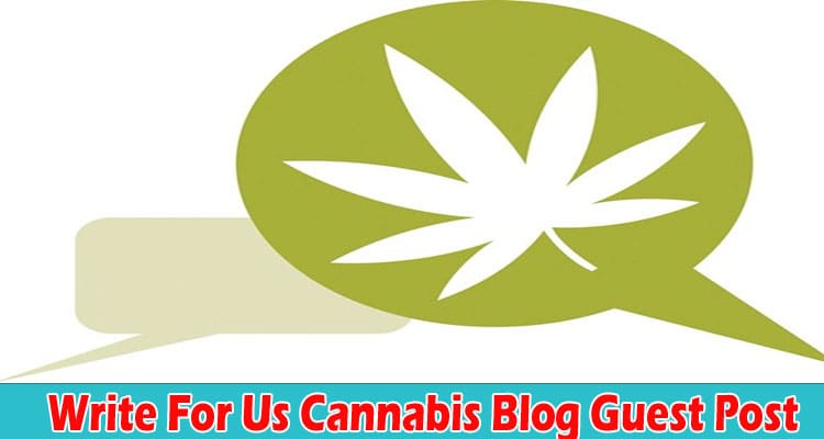 Write For Us Cannabis Blog Guest Post – Read Guidelines!