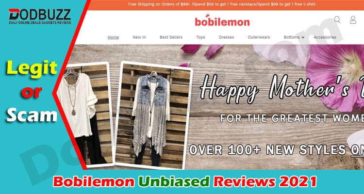 Bobilemon Reviews [Aug 2021] Is it A Legit Website?