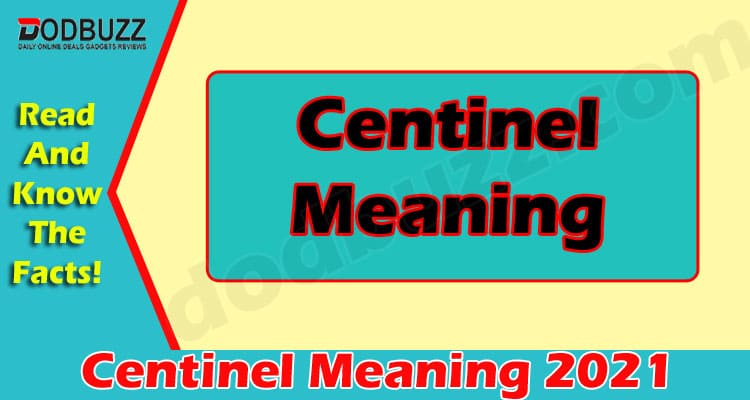 Centinel Meaning 2021