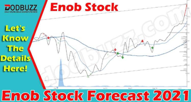 Enob Stock Forecast (June 2021) Get Detailed Insight!