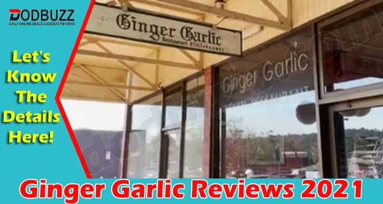 Ginger Garlic Reviews (June) What You Should Know?