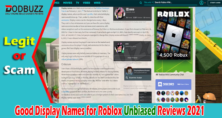 Good Display Names for Roblox (June) Know The Feature!