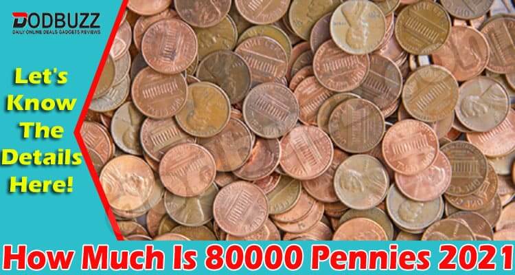 How Much Is 80000 Pennies (June) Let Us Know Here!