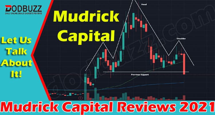 Mudrick Capital Reviews (June) About Investment Adviser!