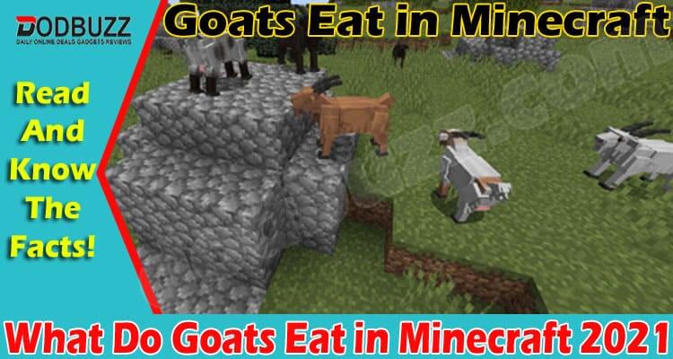 What Do Goats Eat in Minecraft 2021.