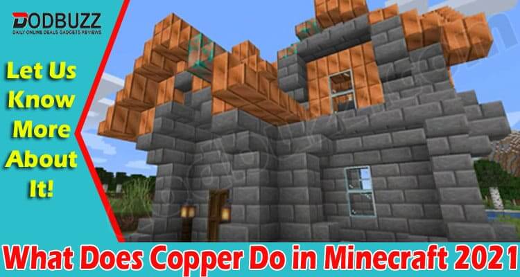 What Does Copper Do in Minecraft (June) Know The Detail!