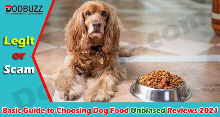 Basic Guide to Choosing Dog Food 2021