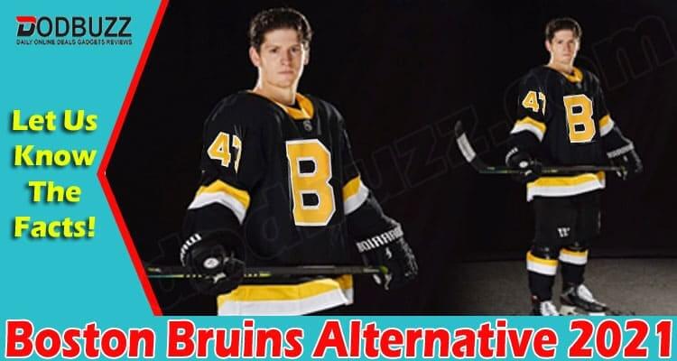 Boston Bruins Alternative 2021.