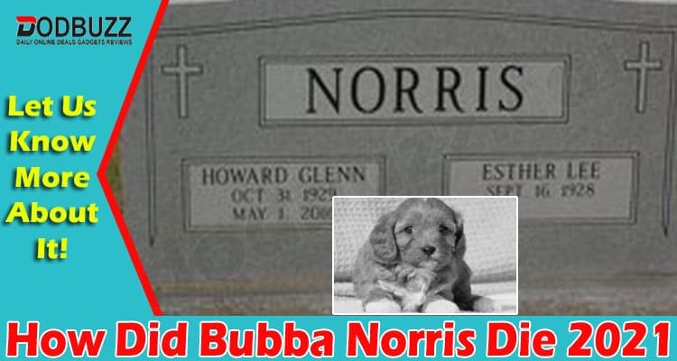 How Did Bubba Norris Die 2021