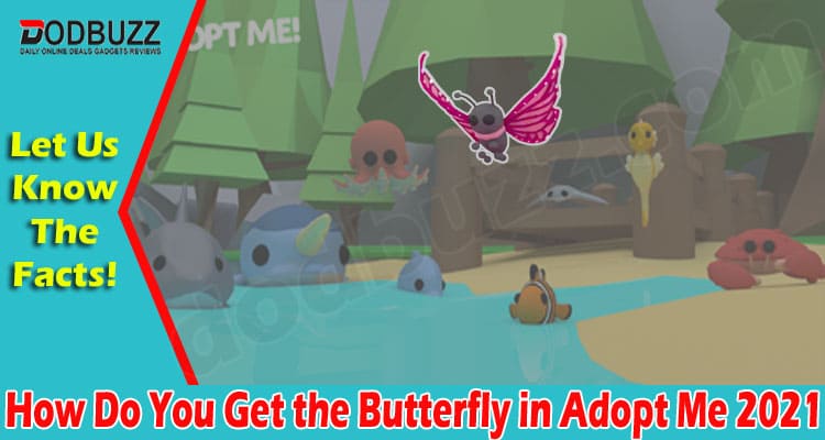 Latest News Butterfly in Adopt Me