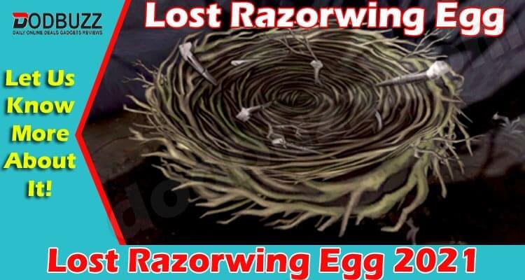 Lost Razorwing Egg {July} Get Details About The Game!