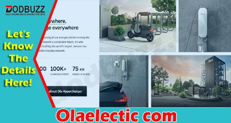 Olaelectic com Online Website Reviews