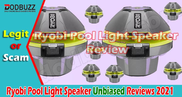 Ryobi Pool Light Speaker Review 2021.
