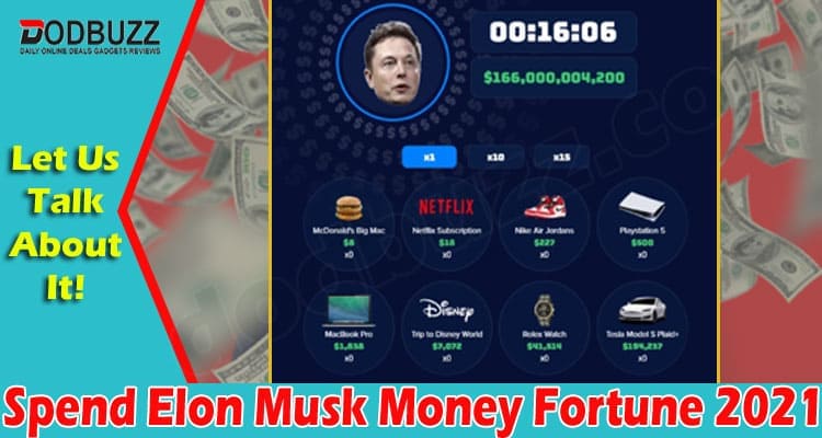 Spend Elon Musk Money Fortune 2021