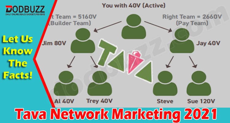 Tava Network Marketing {Aug 2021} Get Complete Insight!