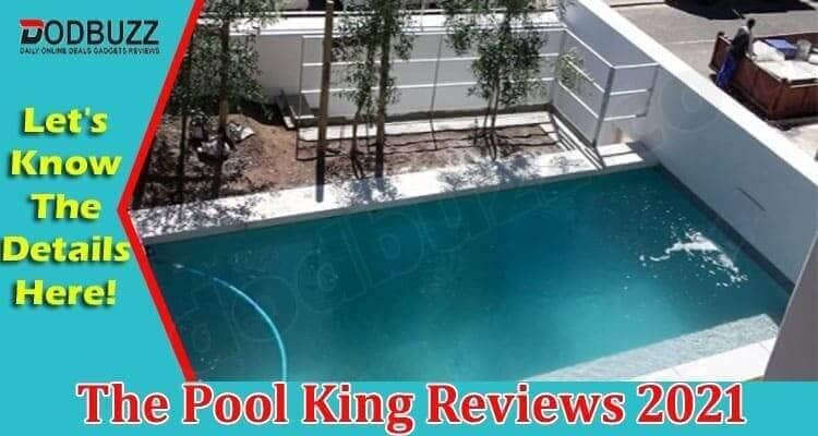 The Pool King Reviews 2021