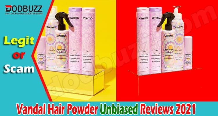 Vandal Hair Powder Review 2021