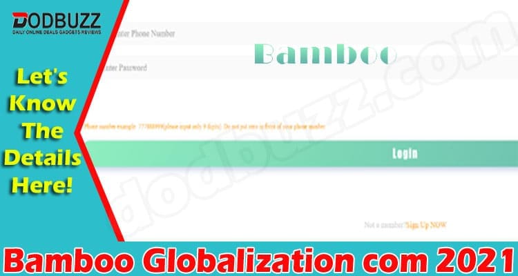 amboo Globalization Com 2021