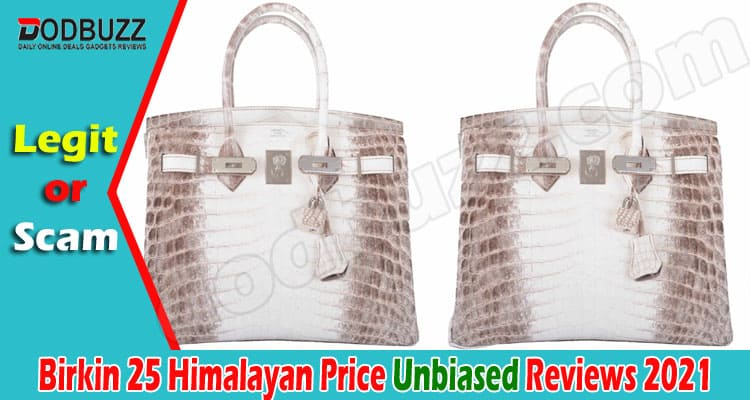 Birkin 25 Himalayan Online Product Reviews