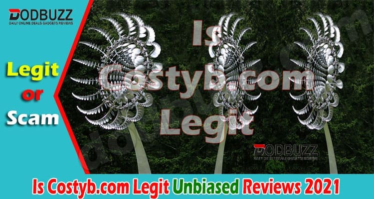 Costyb Online website Reviews