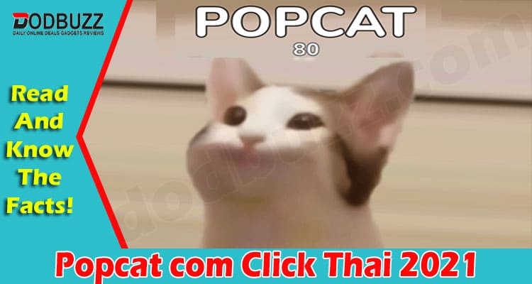 Latest News Popcat Click Thai
