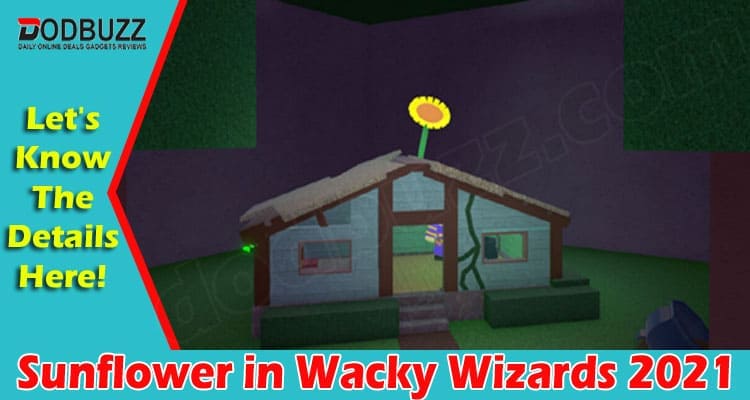 Sunflower in Wacky Wizards 2021