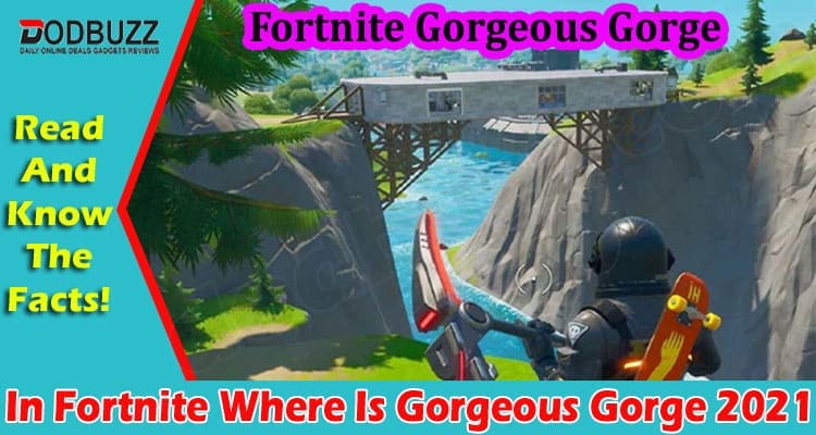 Gaming Tips Fortnite Where Is Gorgeous Gorge