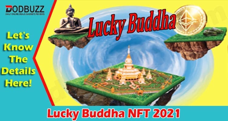 Latest News Lucky Buddha NFT